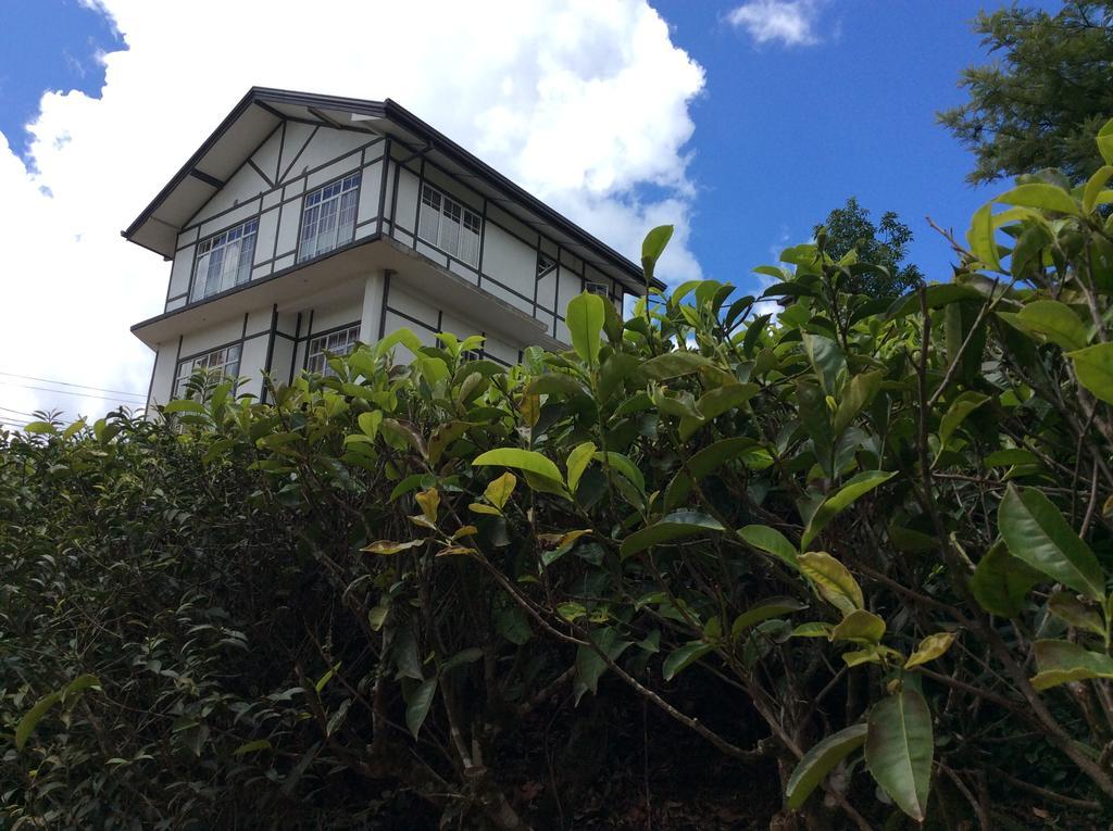 Tealeaf Bed & Breakfast Nuwara Eliya Eksteriør bilde