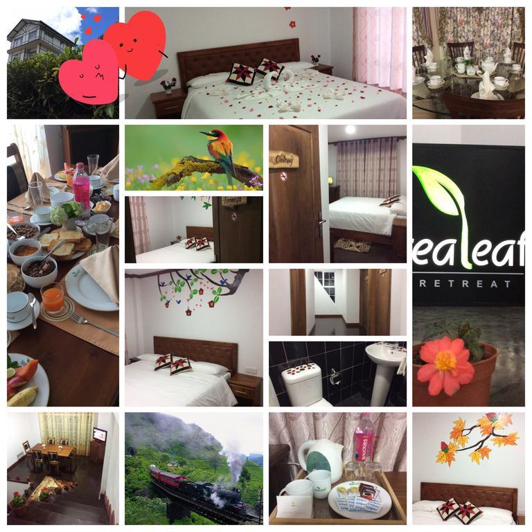 Tealeaf Bed & Breakfast Nuwara Eliya Eksteriør bilde