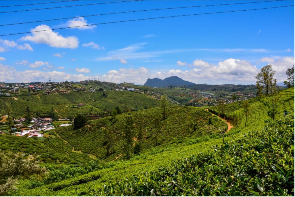 Tealeaf Bed & Breakfast Nuwara Eliya Eksteriør bilde