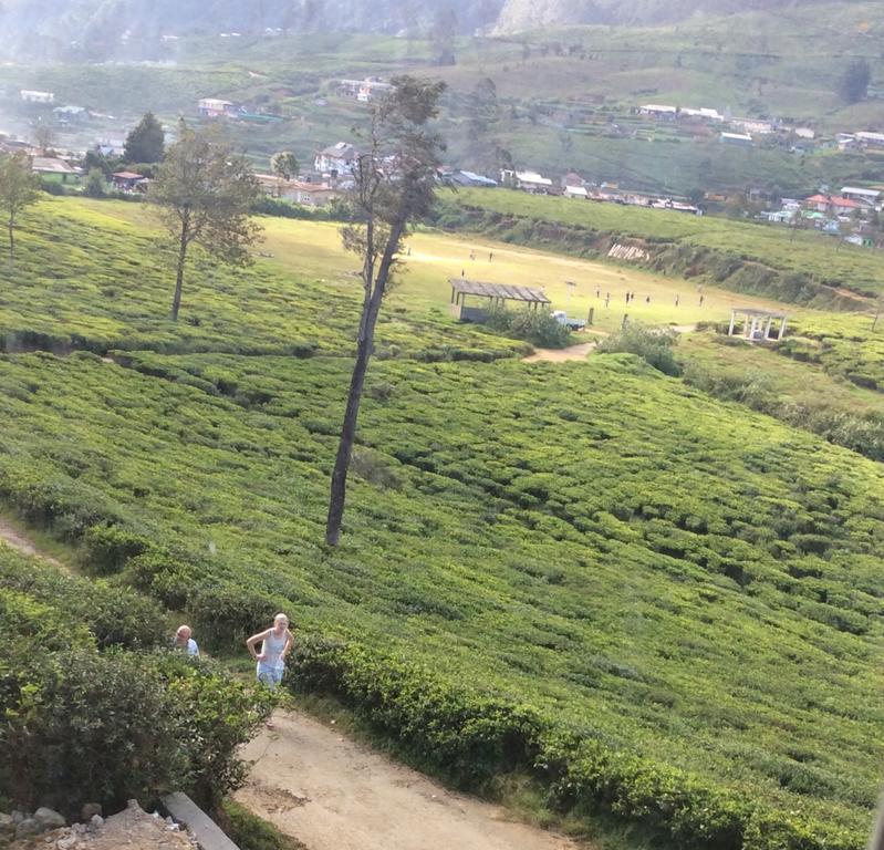 Tealeaf Bed & Breakfast Nuwara Eliya Eksteriør bilde