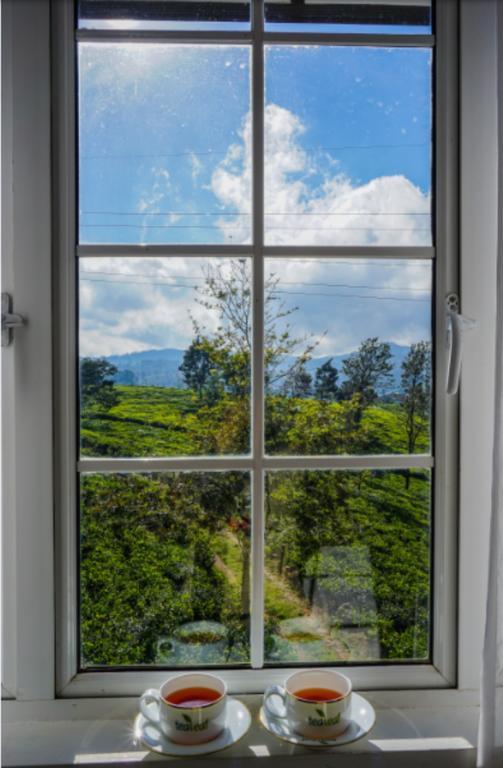 Tealeaf Bed & Breakfast Nuwara Eliya Eksteriør bilde
