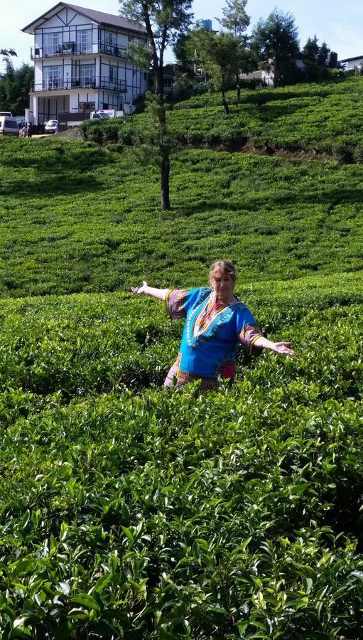 Tealeaf Bed & Breakfast Nuwara Eliya Eksteriør bilde
